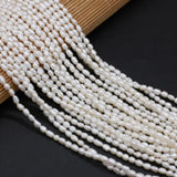 Natural Freshwater Pearl Beads Rice Shape Small Loose Bead