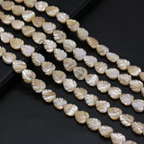 Natural Trochus Top Shell Stone Loose Beads 14'' Strand