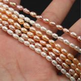 4*6MM 118Pcs/2Strands AA Natural Freshwater Pearl Earring Bead Strand