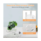 4 Packs 1.9Inch Rock Display Stand - Acrylic Stands for Minerals, Crystal, Slabs