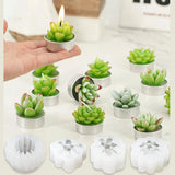 4 Pcs Succulents Cactus Epoxy Resin Mold Silicone Mould DIY Crafts