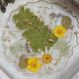 4 in 1 Agate Geode Resin Coaster Tray Molds