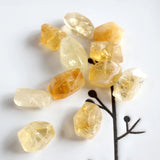 4 pcs Amazonite Lapis Citrine Clear Quartz Amethyst Nuggets