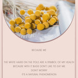 40Pcs Dried Craspedia Flowers for Wedding Home Decor