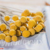 40Pcs Dried Craspedia Flowers for Wedding Home Decor