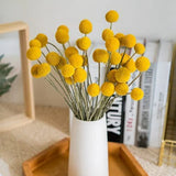 40Pcs Dried Craspedia Flowers for Wedding Home Decor