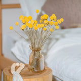 40Pcs Dried Craspedia Flowers for Wedding Home Decor