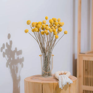 40Pcs Dried Craspedia Flowers for Wedding Home Decor