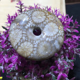 40mm Chrysanthemum Stone Donut Loose Bead for Pendant Making