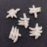 White Freshwater Pearl Bead Set