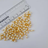 img_13910402