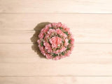 img_12533473