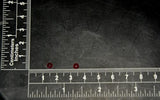 img_14529605