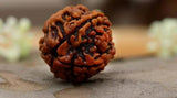 img_14611415