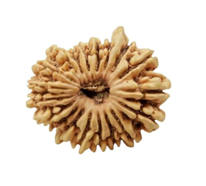 img_17694099