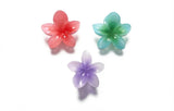 img_13896564