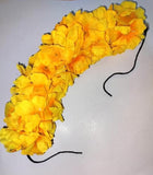 img_15731734