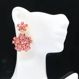 Heart Raspberry Rhodolite Garnet 14k Silver Pendant Earrings