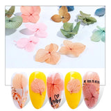 45-50pcs/box Dried Flowers Resin Mold Crafts Filling Time Stone Jewelry Making
