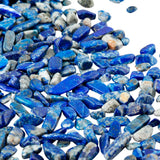 460g Lapis Lazuli Stone Chips Beads Crushed Pieces Irregular Shaped Stones