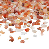 460g Natural Red Carnelian Tumbled Stone Chips Beads Crushed Pieces