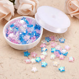 DIY Kids Stretch Bracelet Jewelry Making Kit with Star Acrylic Beads