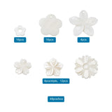 48pcs/Box Natural Shell Pendants Mixed Flower Charm DIY Jewelry Making