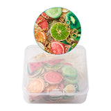 48pcs Fruit Theme Enamel Pendants DIY Earrings Kit with Hooks & Rings