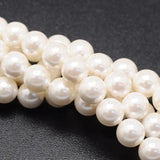 8mm Shell Pearl Beads Strand for Jewelry Making