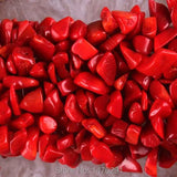 Red Coral Chip Bead GEM Stretchy Elastic Bangle Bracelet
