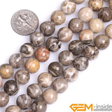 Round Gray Coral Jasper Stone Beads 15 Inch Strand