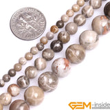 Round Gray Coral Jasper Stone Beads 15 Inch Strand