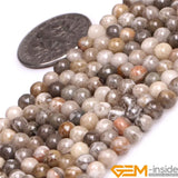 Round Gray Coral Jasper Stone Beads 15 Inch Strand