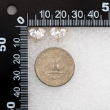 CZ Paved Heart Ear Posts & Leaf Stud Earrings Set