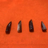 4pcs Agate Beads Wolf Tooth Shape Brown Taki DIY