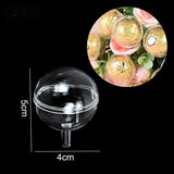 Clear Chocolate Box Truffle Liner Candy Packaging Valentine's Gift Box