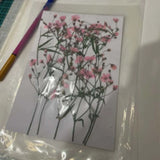 Real Pressed Dried Gypsophila Flowers 12PCS DIY Resin Jewelry Phone Case