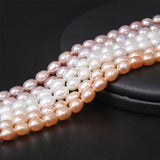 5-6mm Rice Punch Freshwater Pearl Beads for Jewelry Making DIY Necklace Bracelet