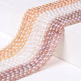 5-6mm Rice Punch Freshwater Pearl Beads for Jewelry Making DIY Necklace Bracelet