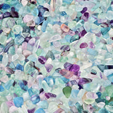 Natural Fluorite Tumbled Stone Chips 460g for Jewelry Making