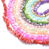 Multicolor Mother of Pearl Shell Beads 5-8mm