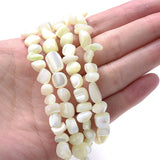 Multicolor Mother of Pearl Shell Beads 5-8mm
