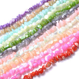 Multicolor Mother of Pearl Shell Beads 5-8mm