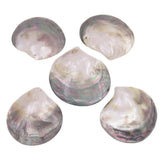 5 PCS Shell 60-80mm Mother of Pearl DIY Pendants