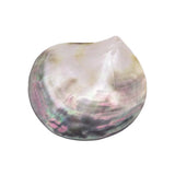 5 PCS Shell 60-80mm Mother of Pearl DIY Pendants