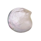5 PCS Shell 60-80mm Mother of Pearl DIY Pendants