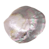 5 PCS Shell 60-80mm Mother of Pearl DIY Pendants