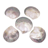5 PCS Shell 60-80mm Mother of Pearl DIY Pendants