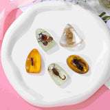 5 Pcs Amber Insect Resin Pendants for Jewelry Making
