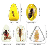 5 Pcs Amber Insect Resin Pendants for Jewelry Making